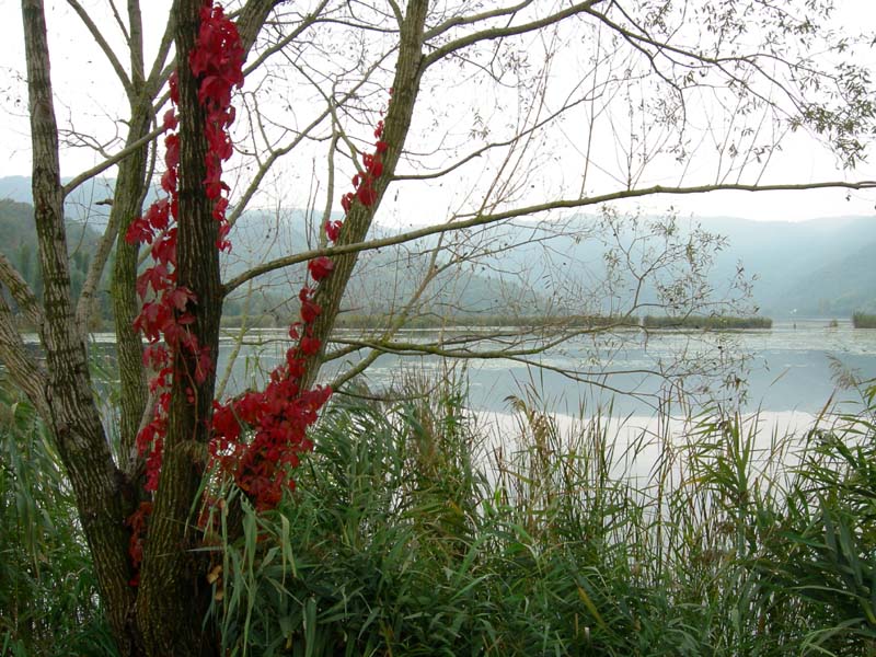 Laghi ......del VENETO