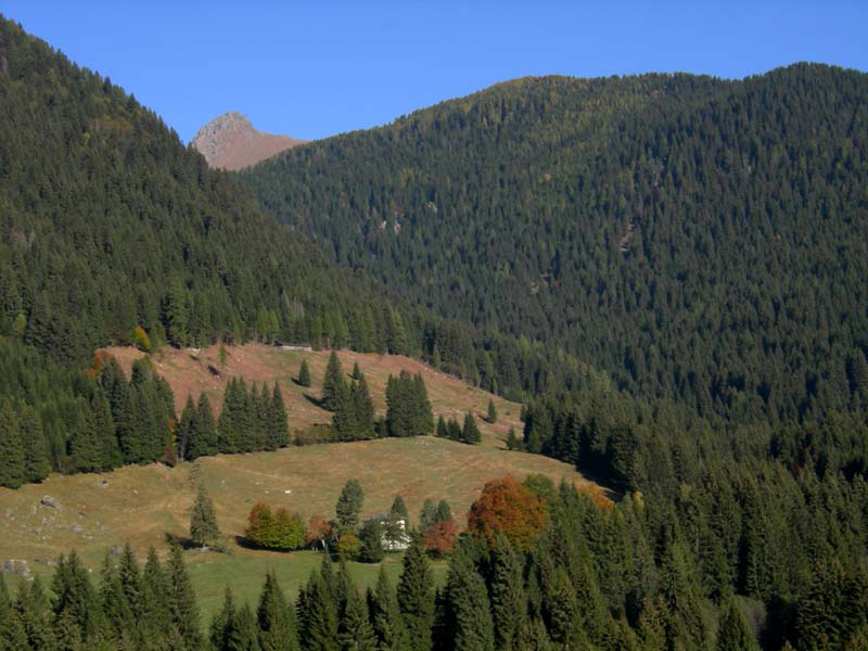 Monte Cengello.....escursione