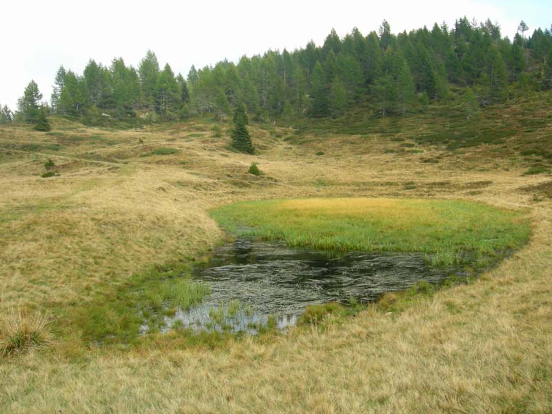 Laghi.......del TRENTINO