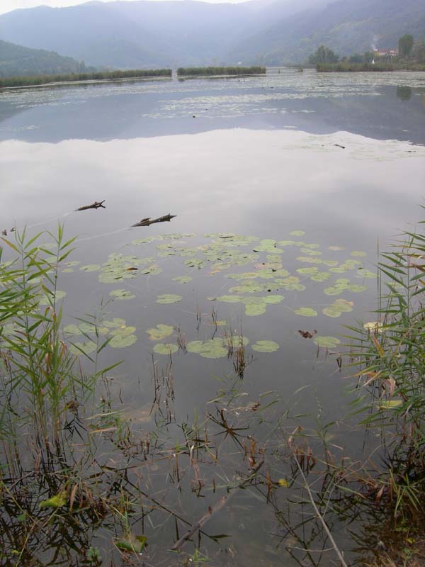 Laghi ......del VENETO