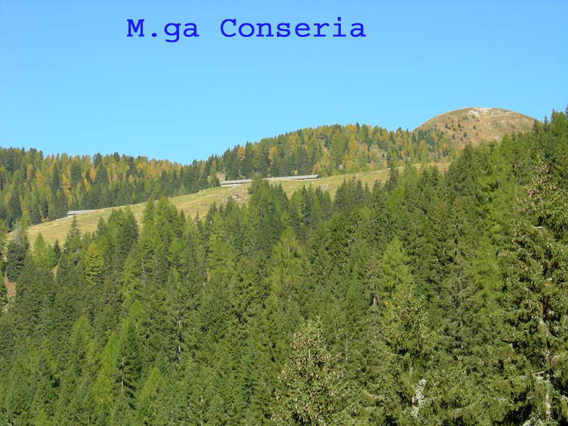 Monte Cengello.....escursione