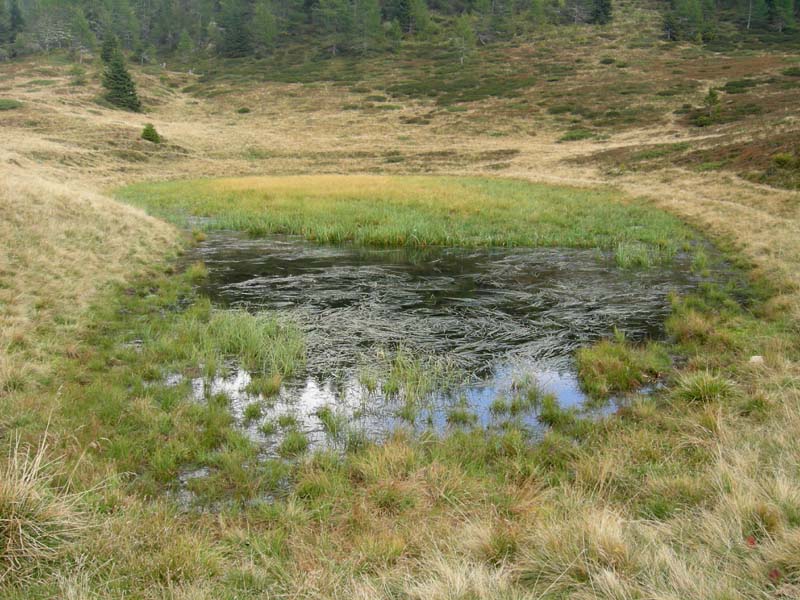 Laghi.......del TRENTINO