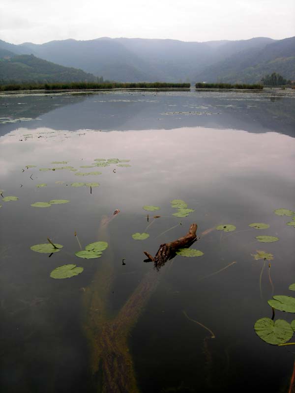 Laghi ......del VENETO