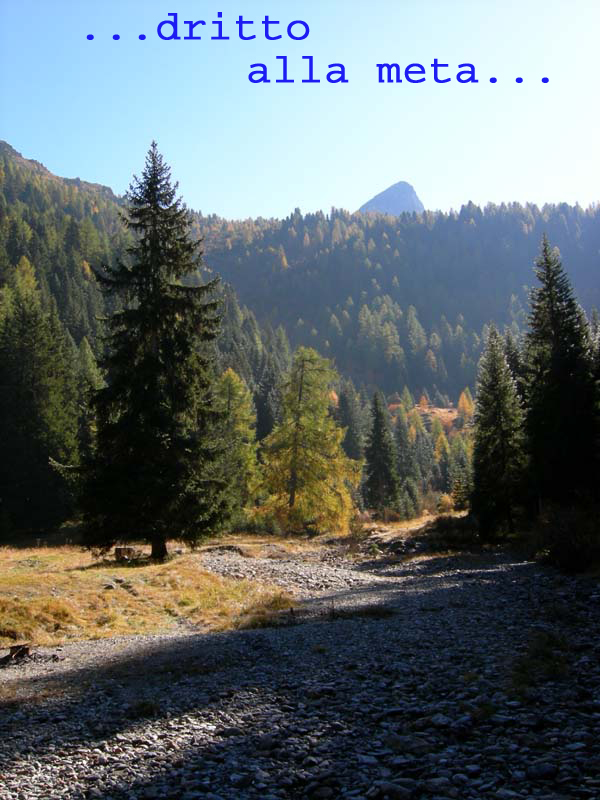 Monte Cengello.....escursione