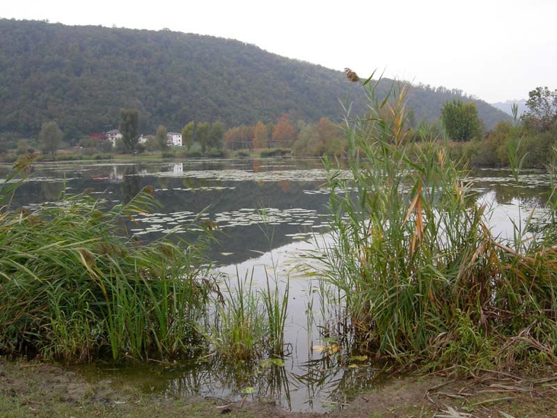 Laghi ......del VENETO