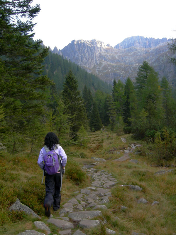 Cima d''Asta m.2847......escursione