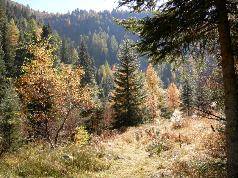 Monte Cengello.....escursione