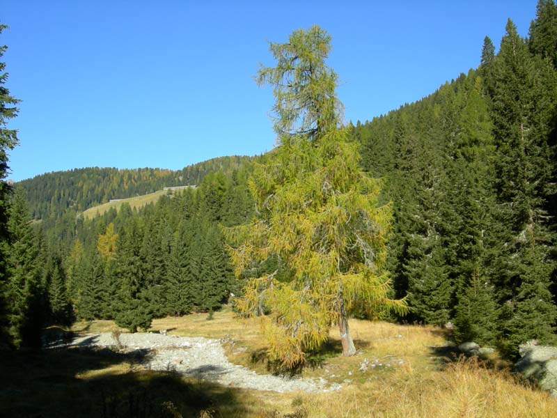 Monte Cengello.....escursione
