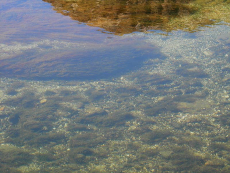 Laghi.....dell''ALTO ADIGE