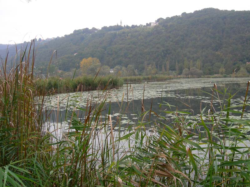 Laghi ......del VENETO