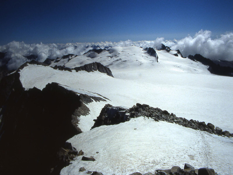 Adamello....3539 m.
