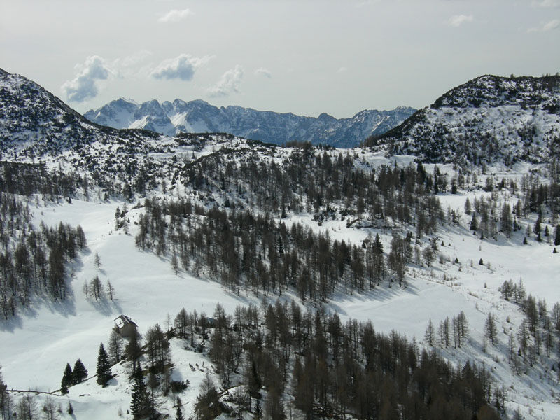 Col Santo (Pasubio)......escursione