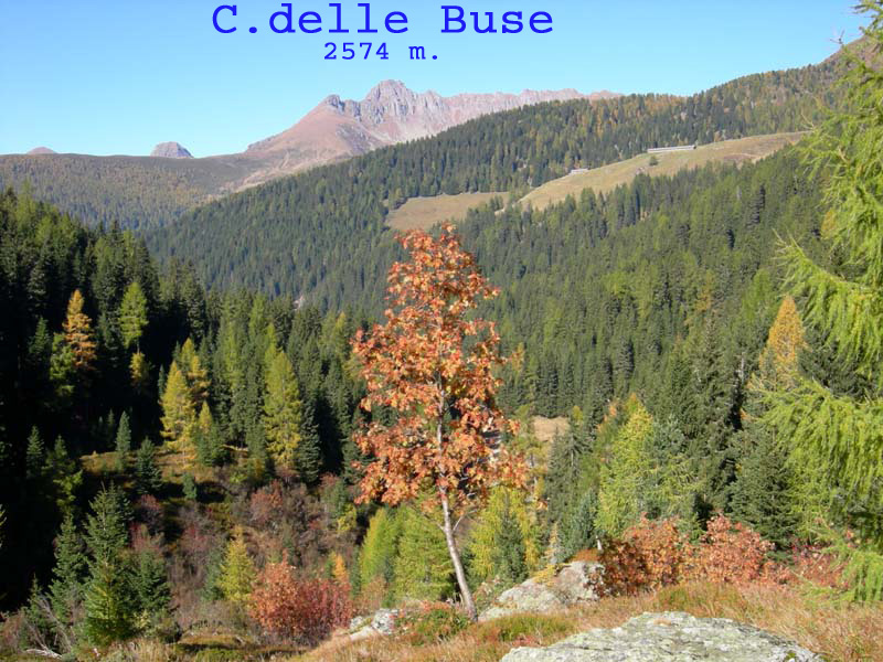 Monte Cengello.....escursione