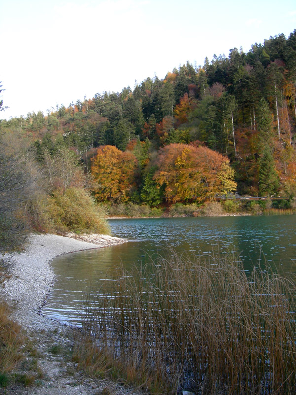 Laghi.......del TRENTINO