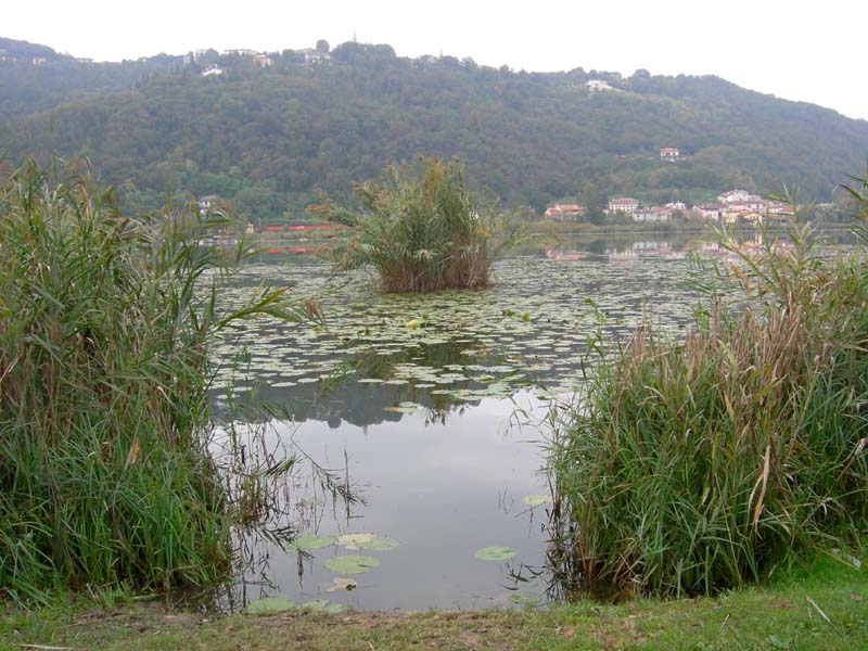 Laghi ......del VENETO