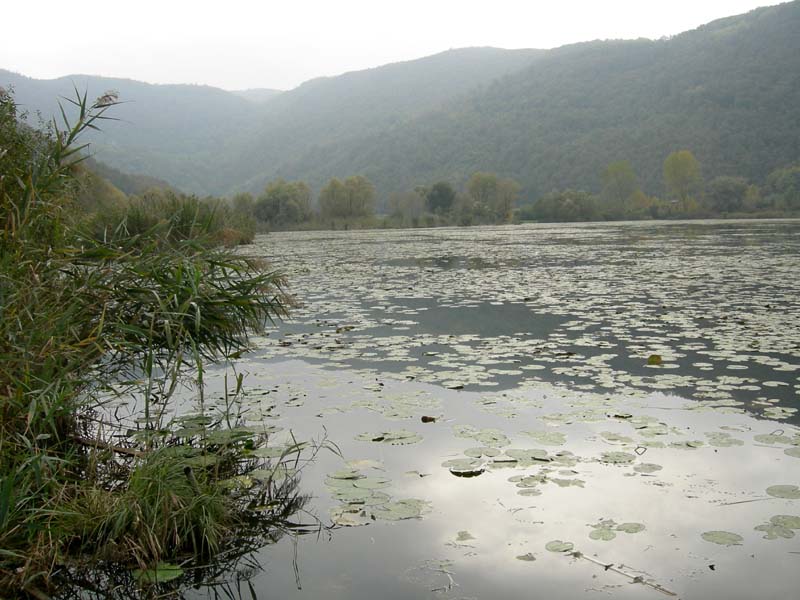 Laghi ......del VENETO