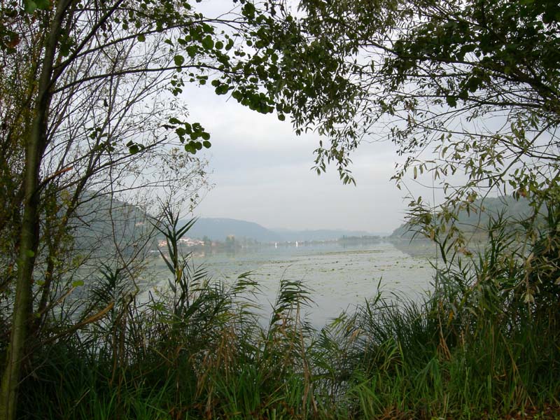 Laghi ......del VENETO