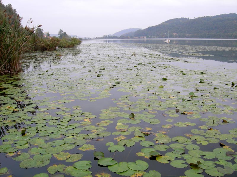 Laghi ......del VENETO