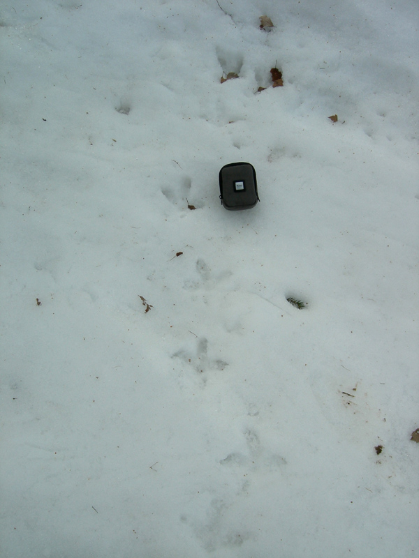 Col Santo (Pasubio)......escursione