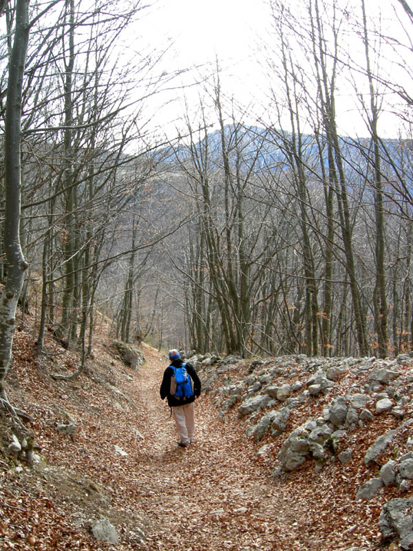 Col Santo (Pasubio)......escursione