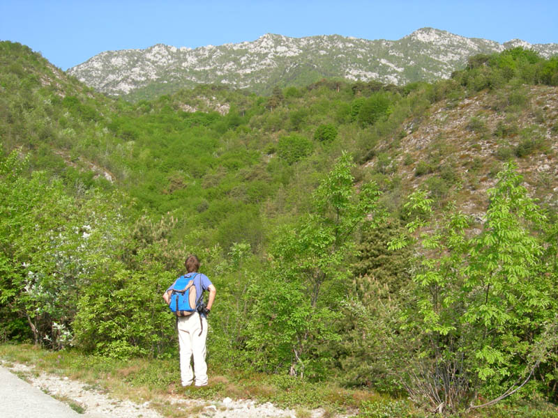 Cima Nara e Cima al Bal......(Alpi di Ledro)