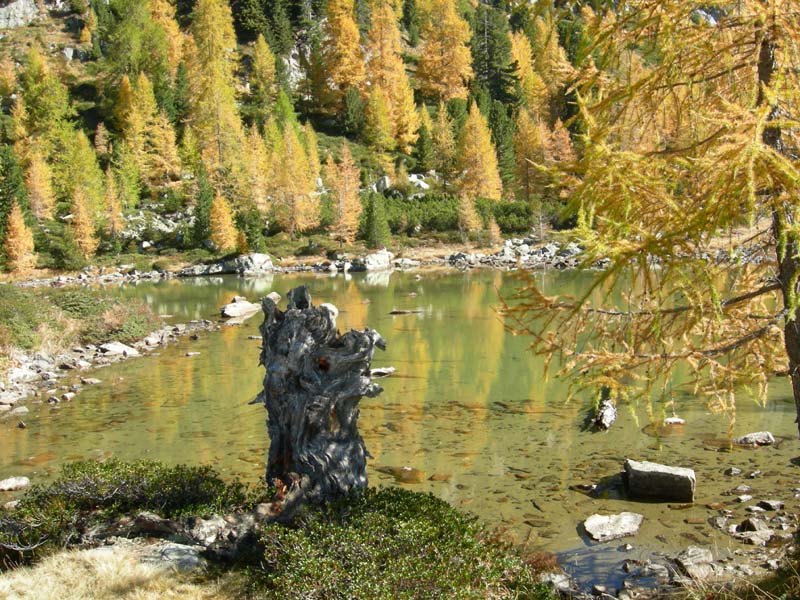 Monte Cengello.....escursione