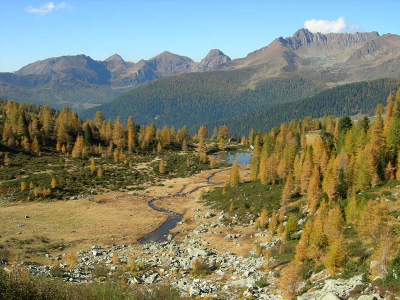 Monte Cengello.....escursione