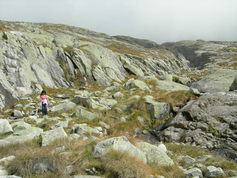 Cima d''Asta m.2847......escursione