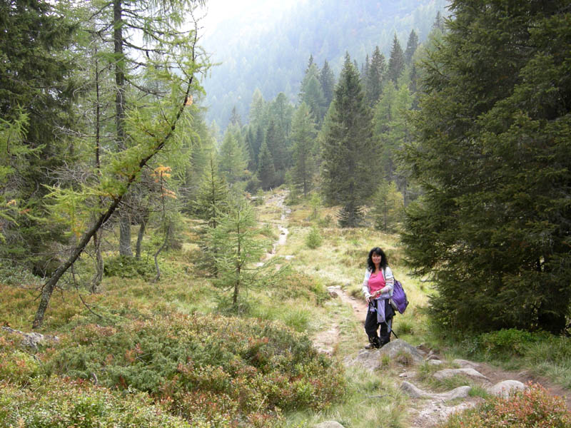 Cima d''Asta m.2847......escursione