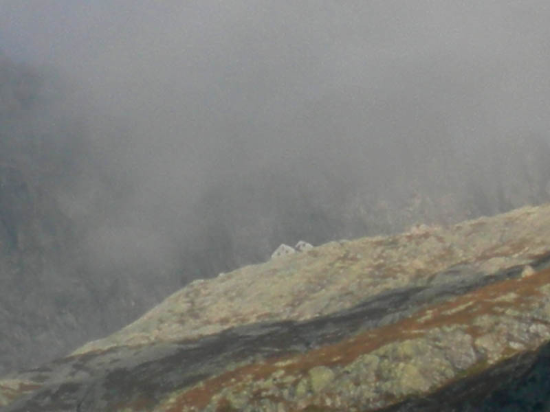 Cima d''Asta m.2847......escursione