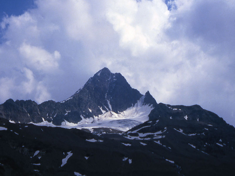 1985...sul Gran Zebr 3851 m.