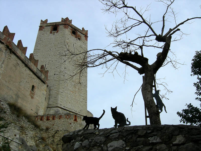 Malcesine.....sul Lago di Garda