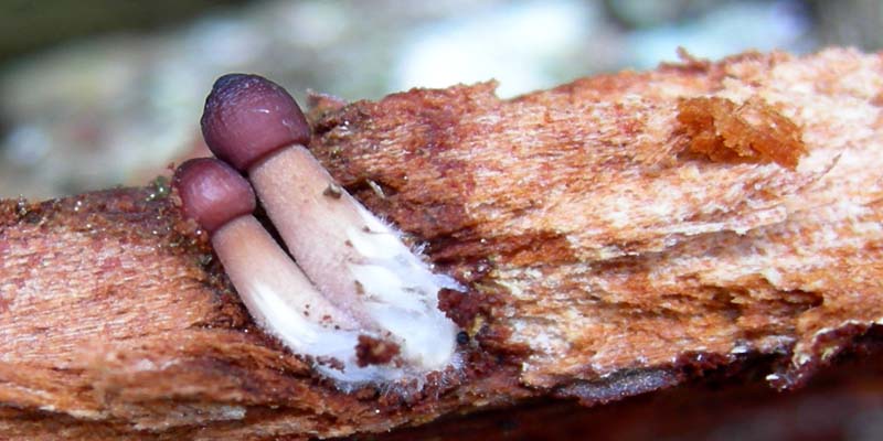 5..........da determinare