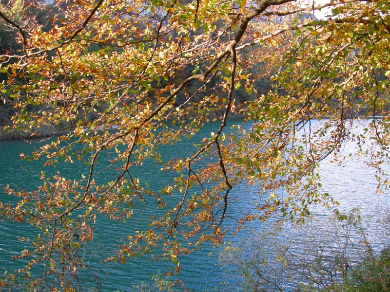 Laghi.......del TRENTINO