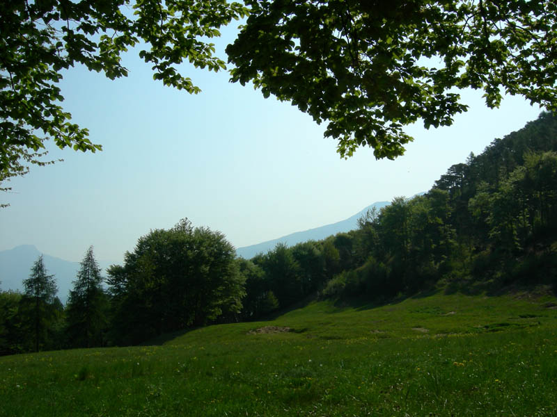 Cima Nara e Cima al Bal......(Alpi di Ledro)