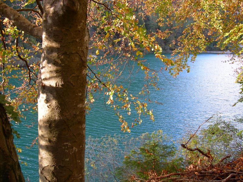 Laghi.......del TRENTINO