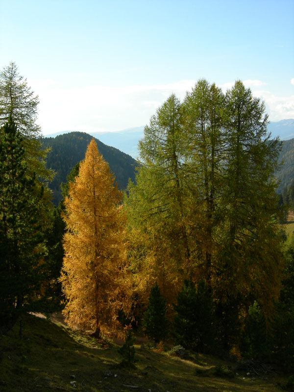 il giorno degli arcobaleni.......Putia-Odle
