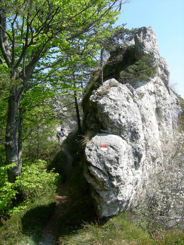 Cima Nara e Cima al Bal......(Alpi di Ledro)