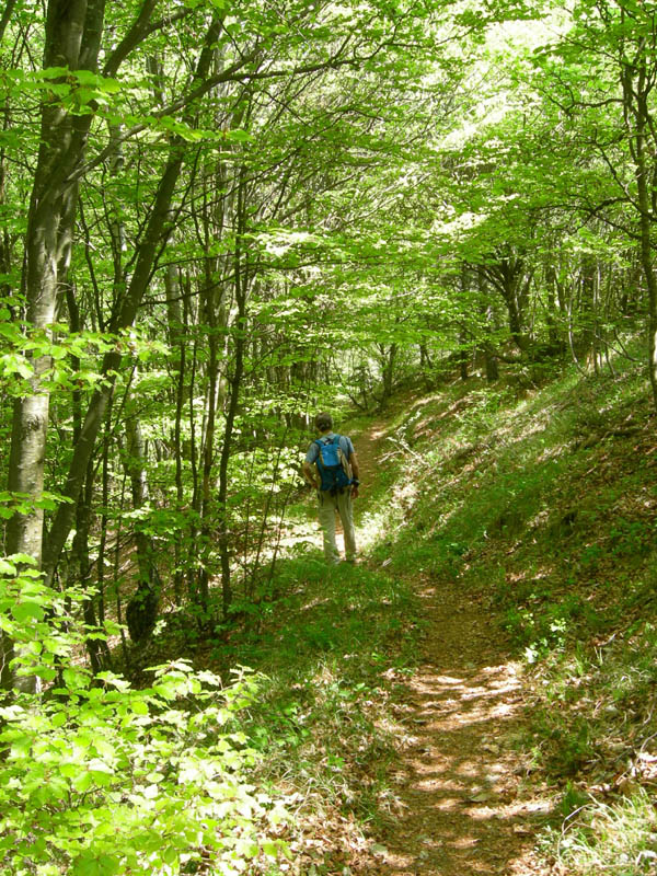 Cima Nara e Cima al Bal......(Alpi di Ledro)