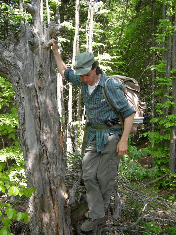 Cima Nara e Cima al Bal......(Alpi di Ledro)