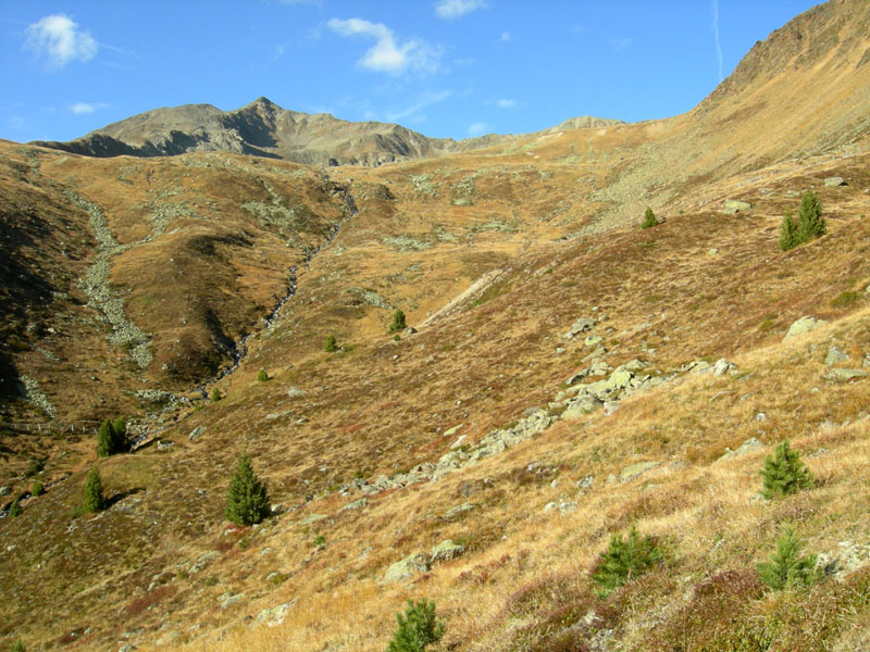 Cima delle Pecore  2999 m. .........escursione
