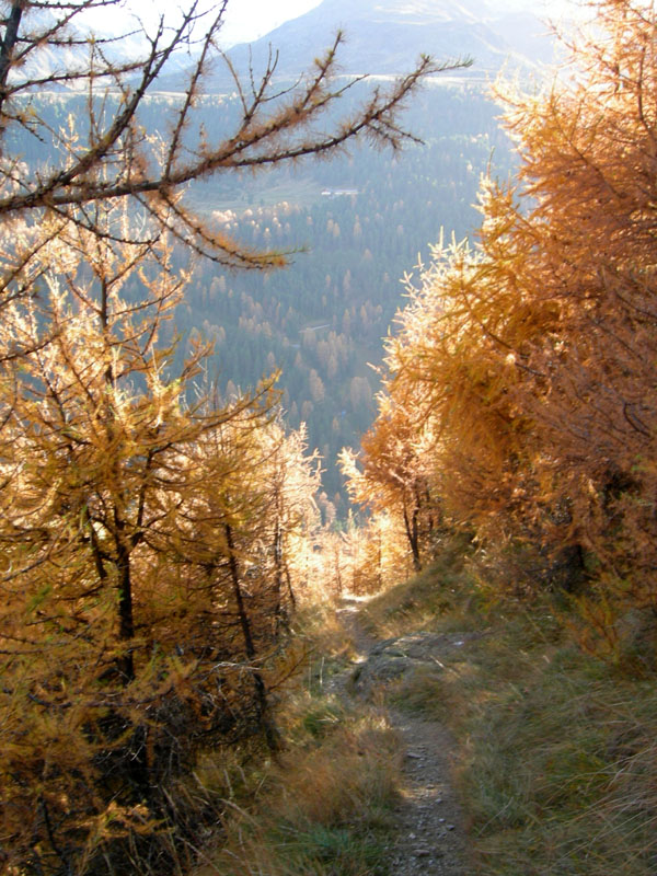 Cima delle Pecore  2999 m. .........escursione