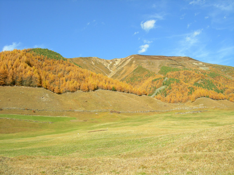 Cima delle Pecore  2999 m. .........escursione