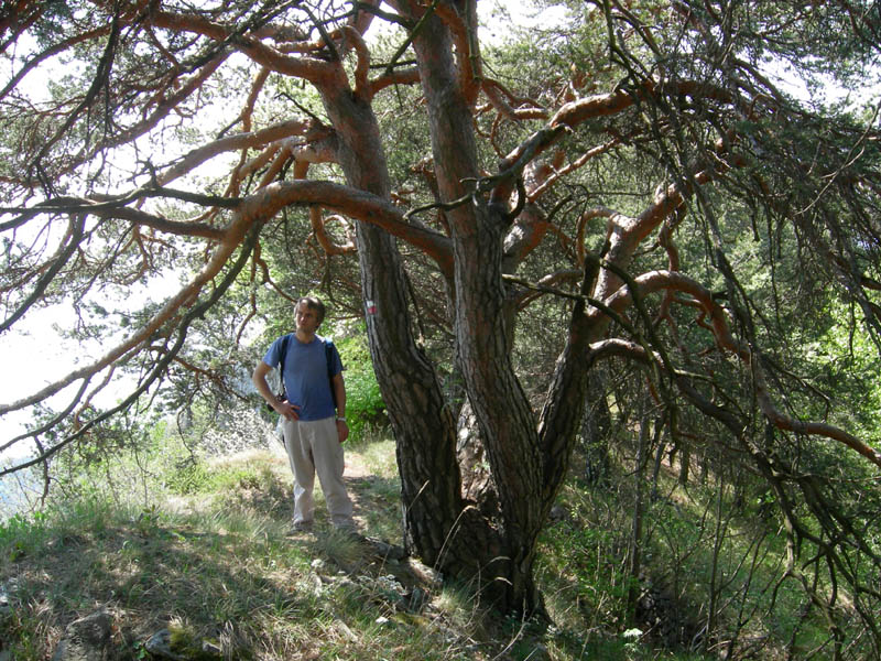 Cima Nara e Cima al Bal......(Alpi di Ledro)