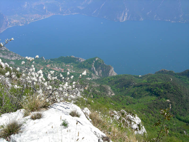 Cima Nara e Cima al Bal......(Alpi di Ledro)