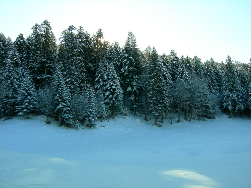 Dosso della Croce.....escursione