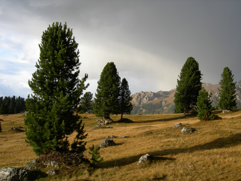 il giorno degli arcobaleni.......Putia-Odle