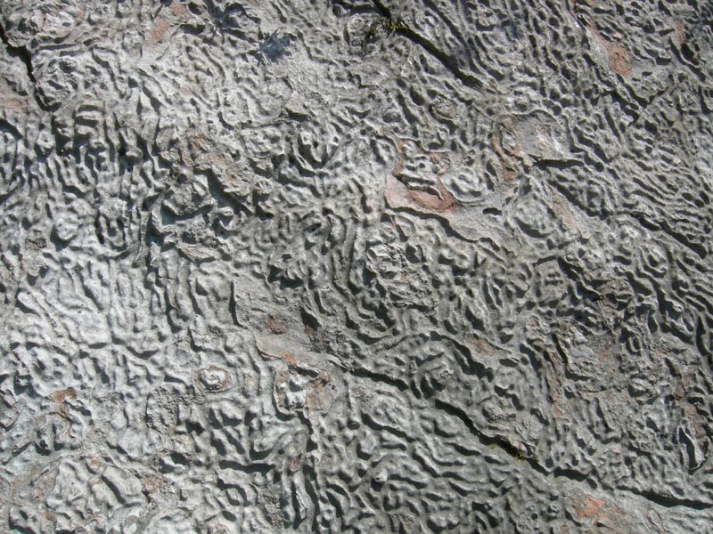 pietra modellata....?