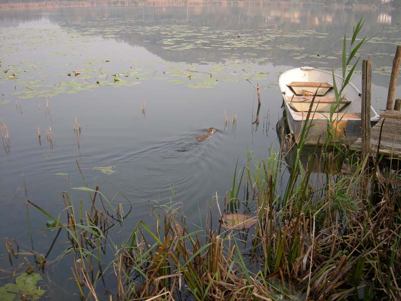 Laghi ......del VENETO