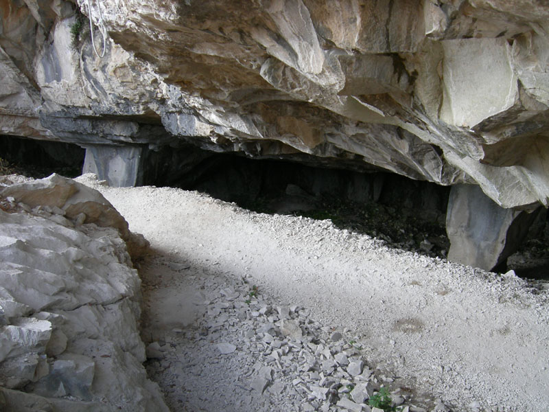 Percorso storico-naturalistico......Bosco Caproni